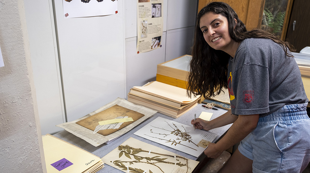 Marinda Vacanti working with museum plant specimens